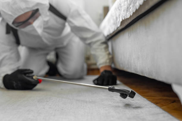 Professional Pest Control technician working in St. Clair County County, MO